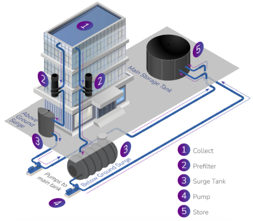rainseeker maximus how it works2